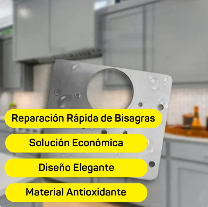 PLACA DE REPARACIÓN METÁLICA DE BISAGRAS