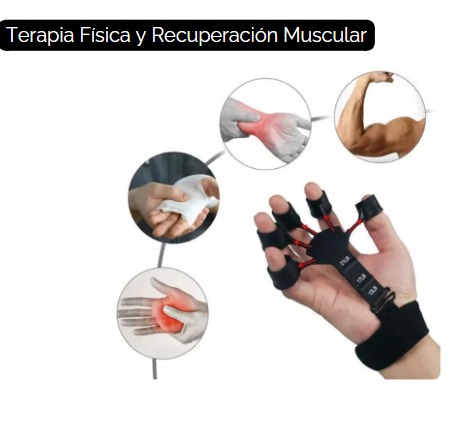 Extensor de Brazo + guia de entrenamiento